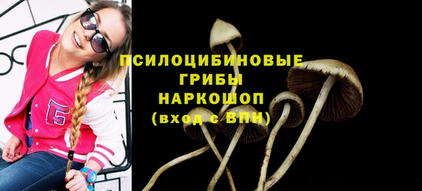 наркотики Алексин