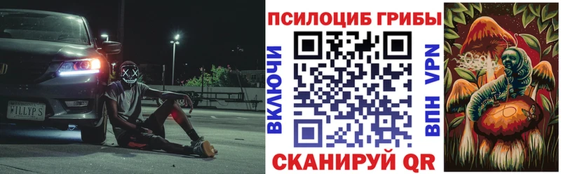 Псилоцибиновые грибы Cubensis Грязовец